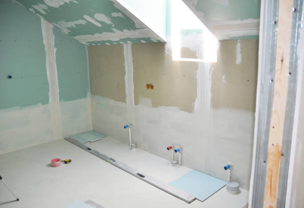 Best Attic Mold Removal  in Pequot Lakes, MN