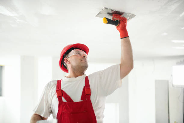 Best Basement Mold Removal  in Pequot Lakes, MN