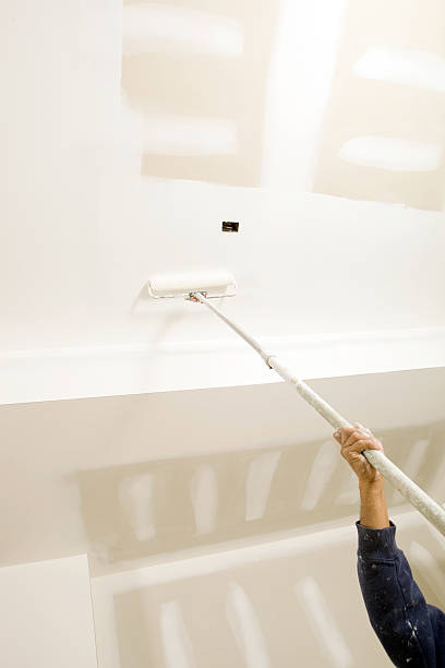 Best Black Mold Removal  in Pequot Lakes, MN